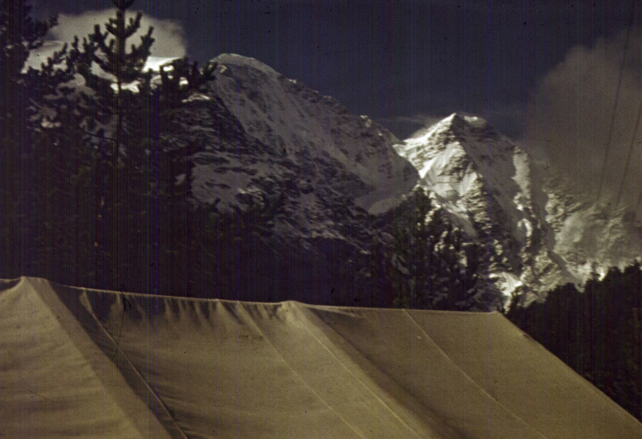 236.jpg