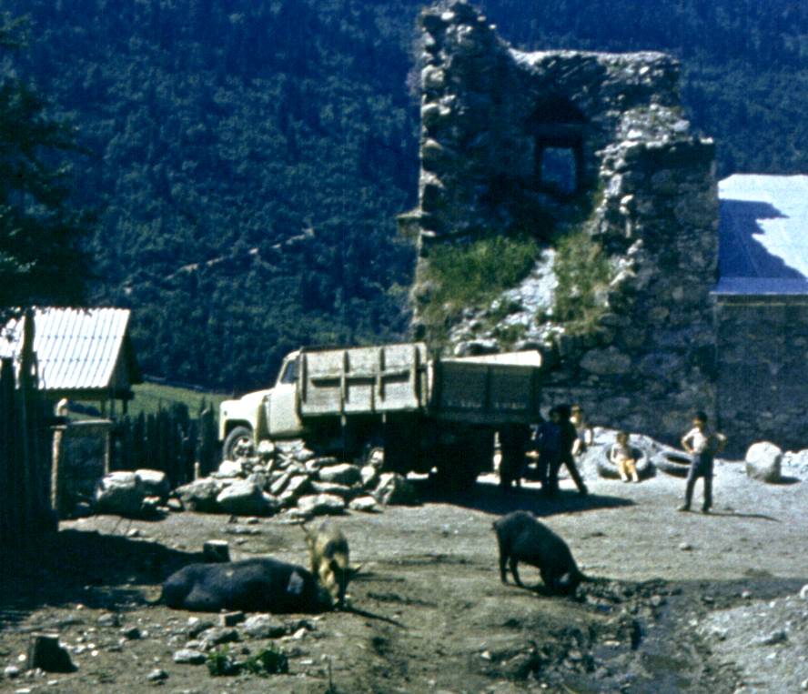 244-1.jpg