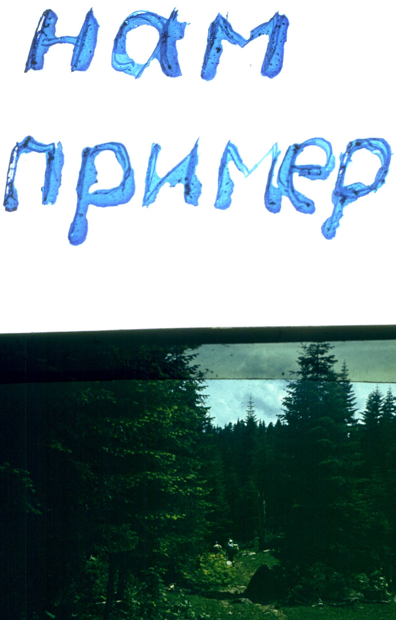 272.jpg