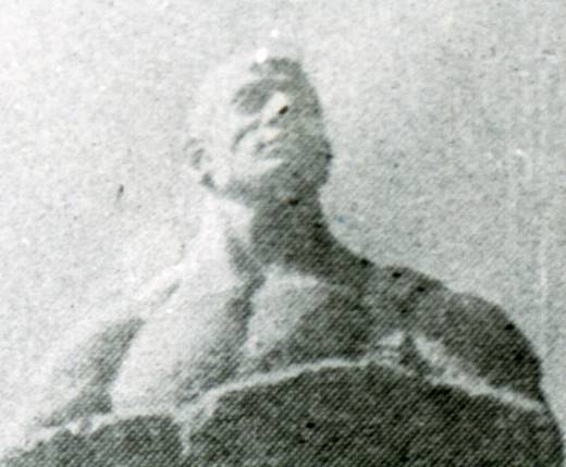 295.jpg