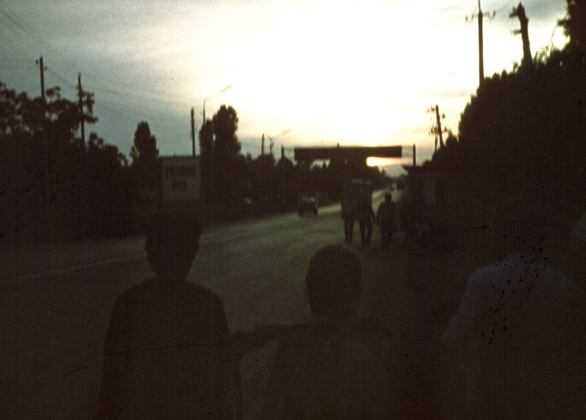 307.jpg