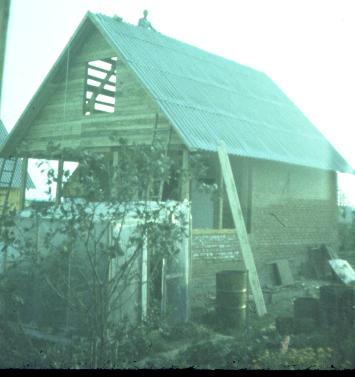 330.jpg