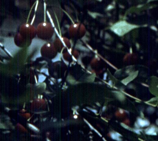 067-1.jpg
