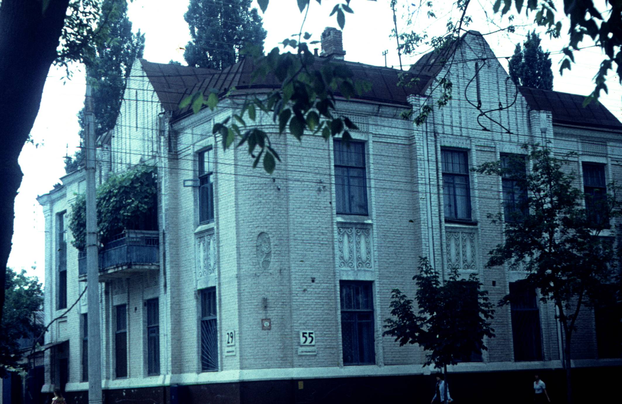165.jpg