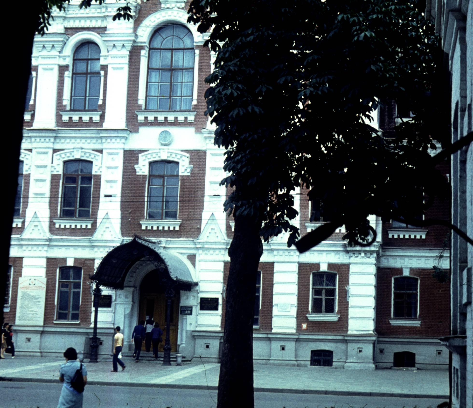 167.jpg