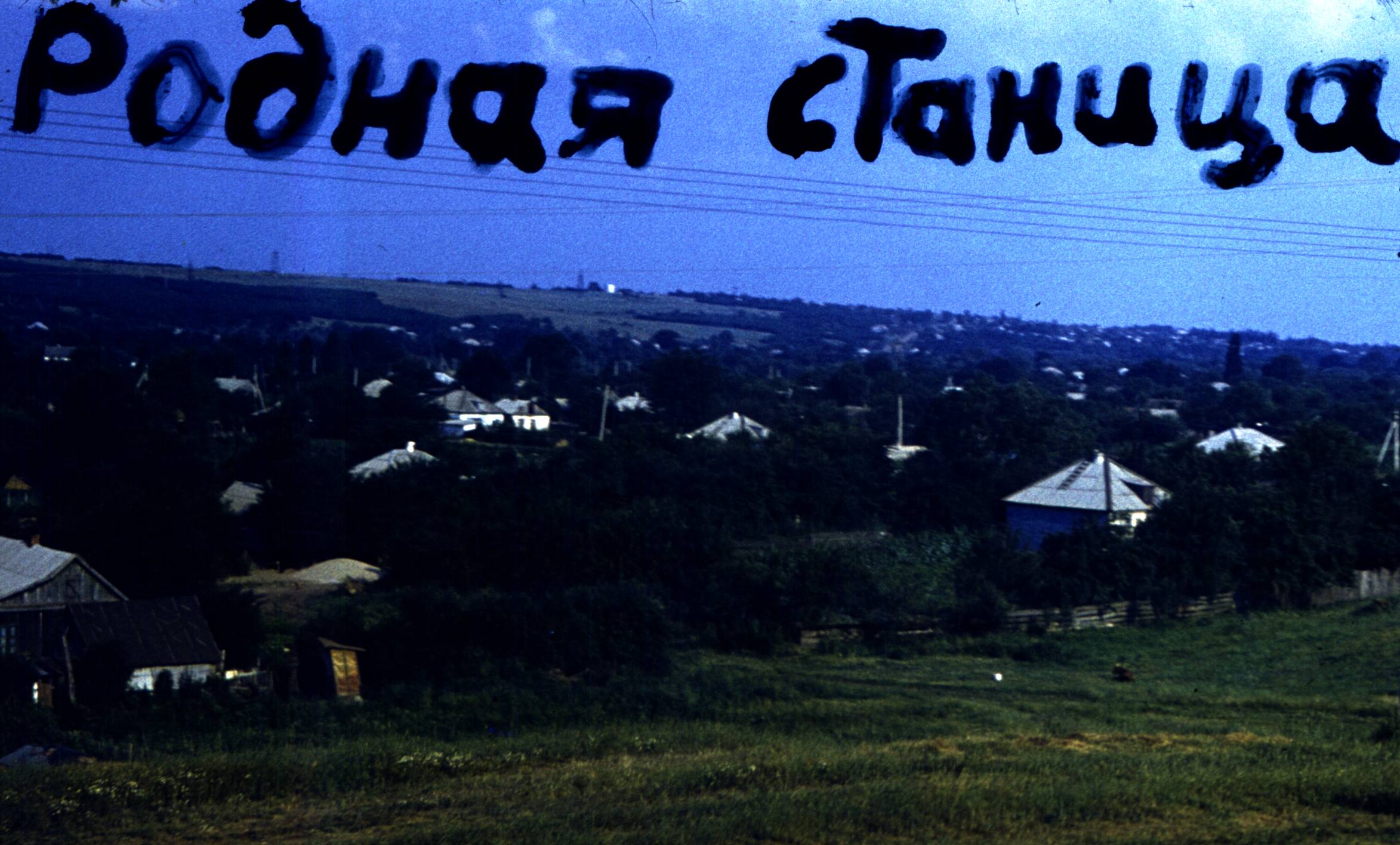 169.jpg