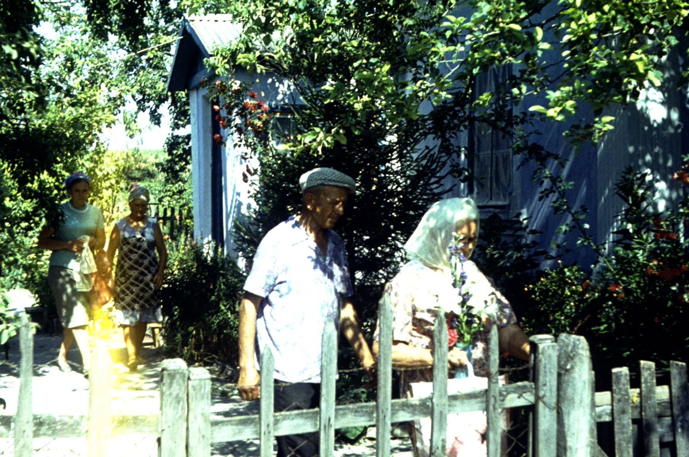176.jpg