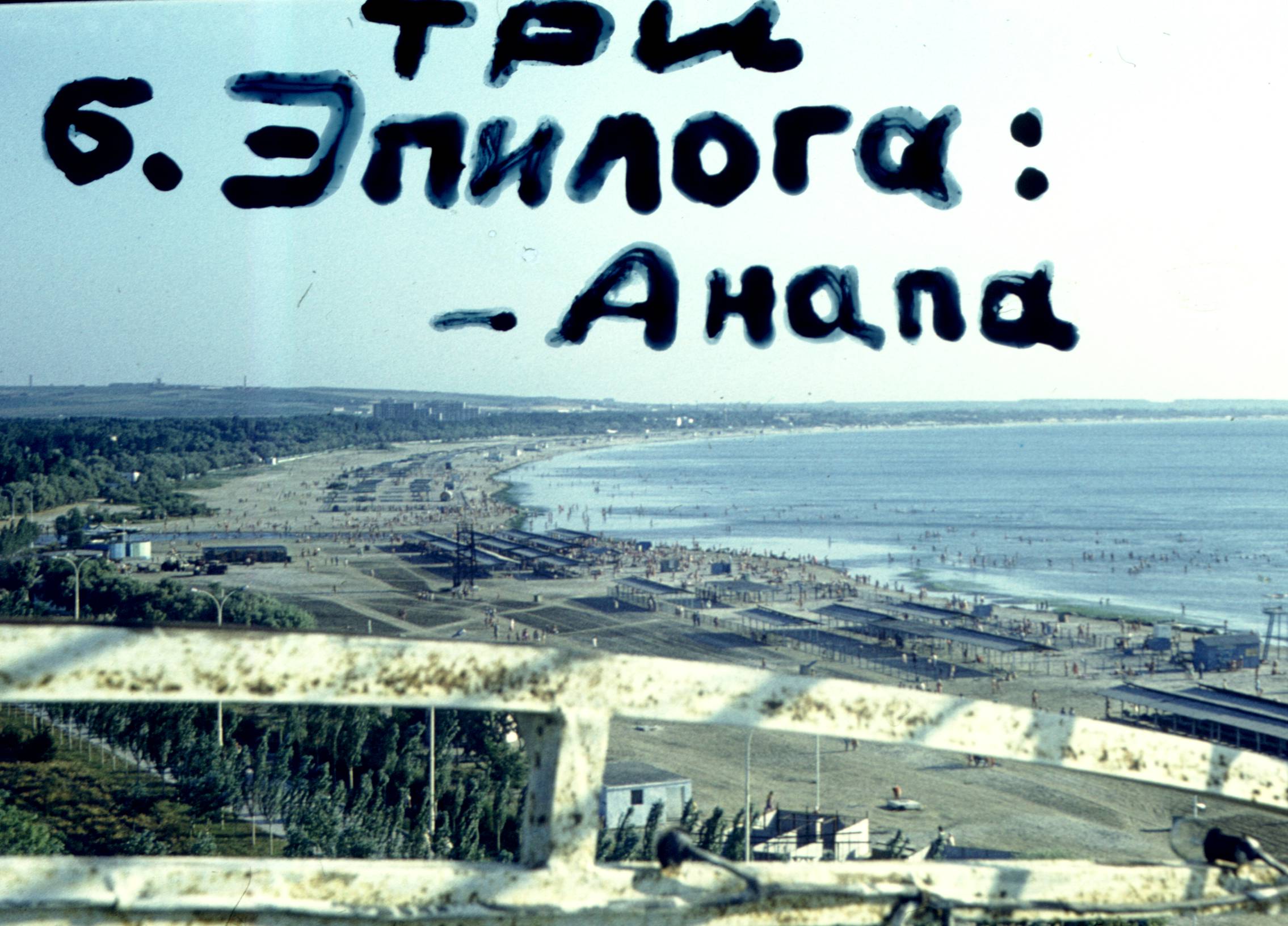213.jpg