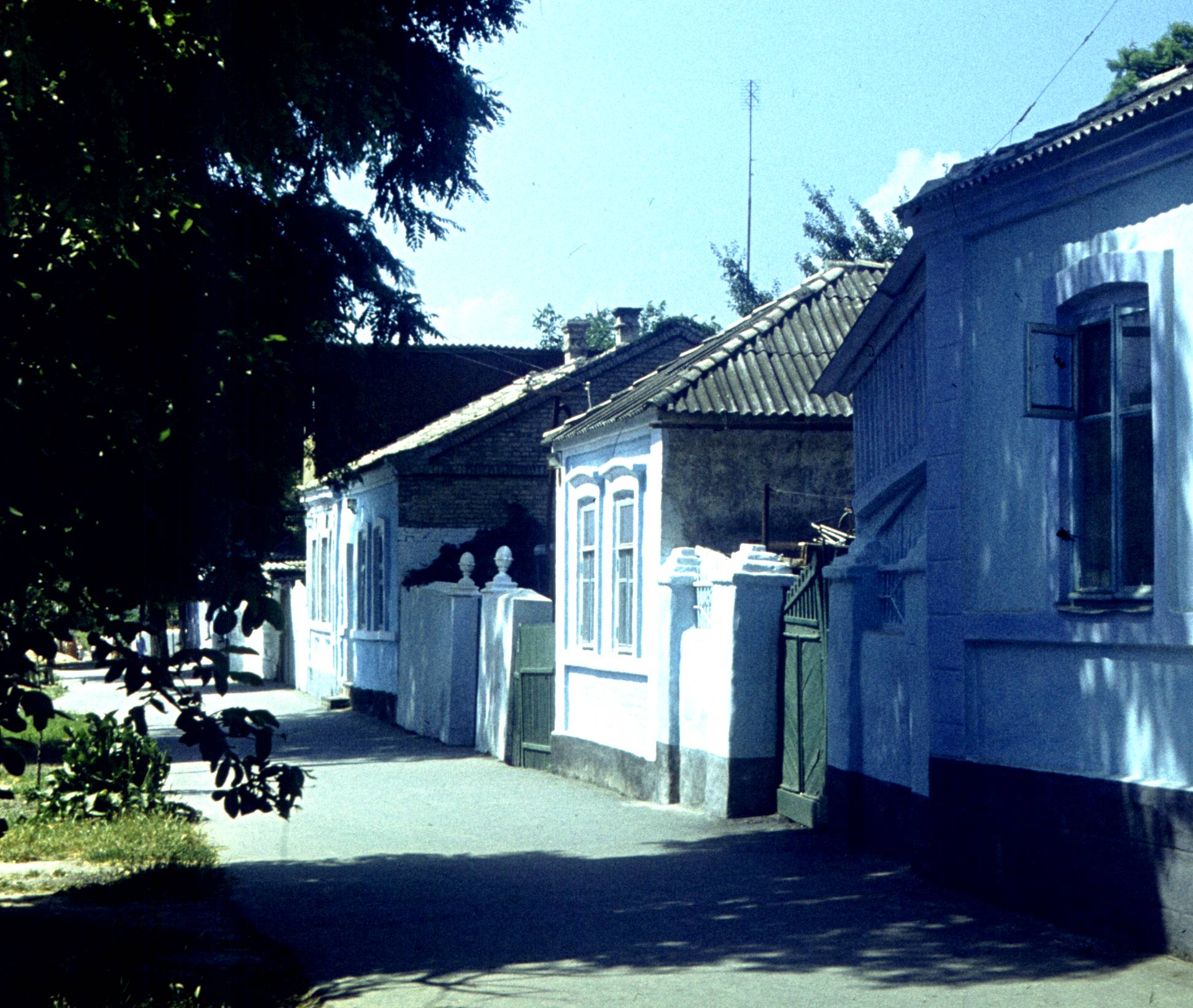 216.jpg