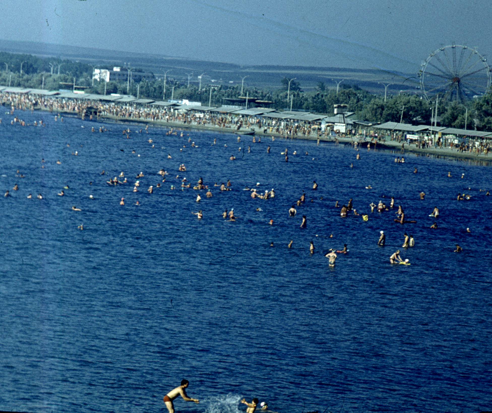 219.jpg