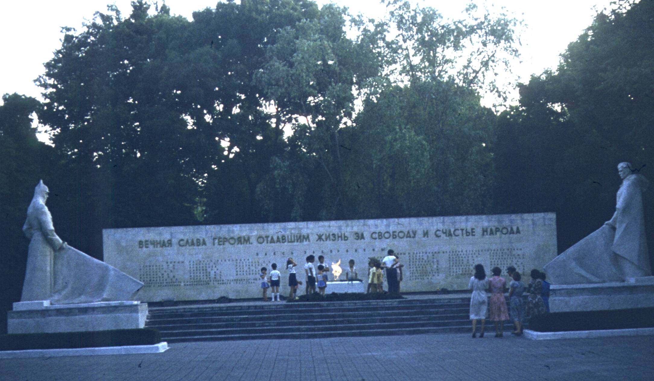 231.jpg