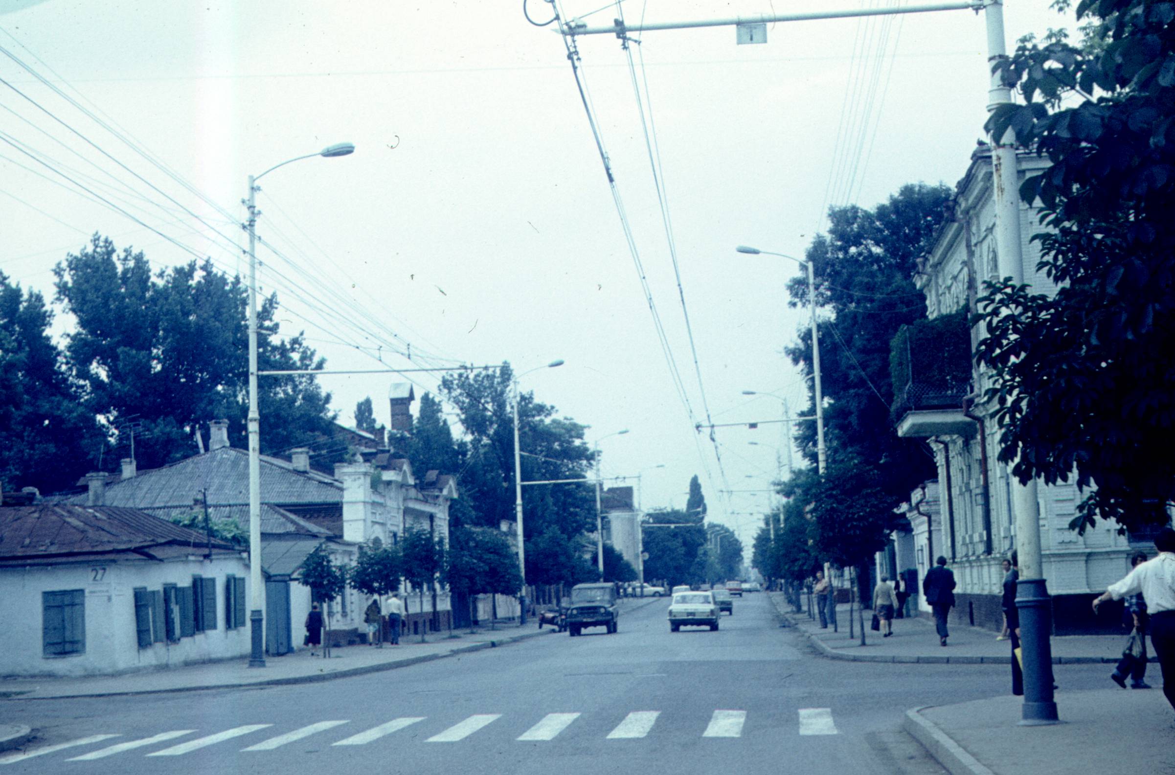 238.jpg