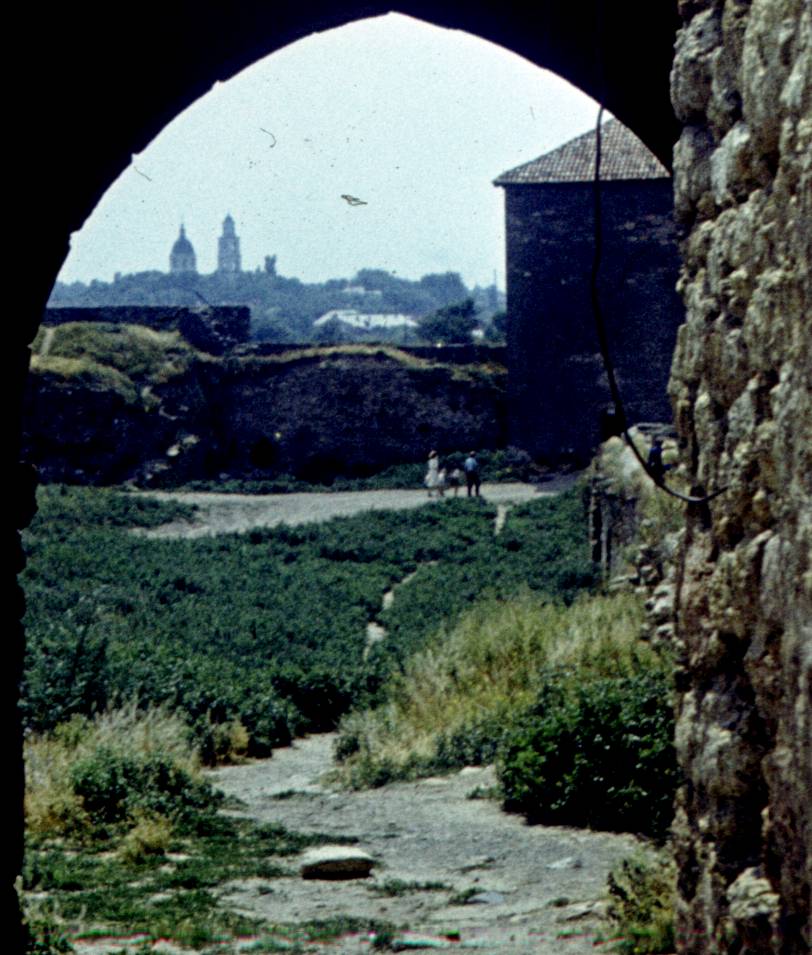 048-1.jpg