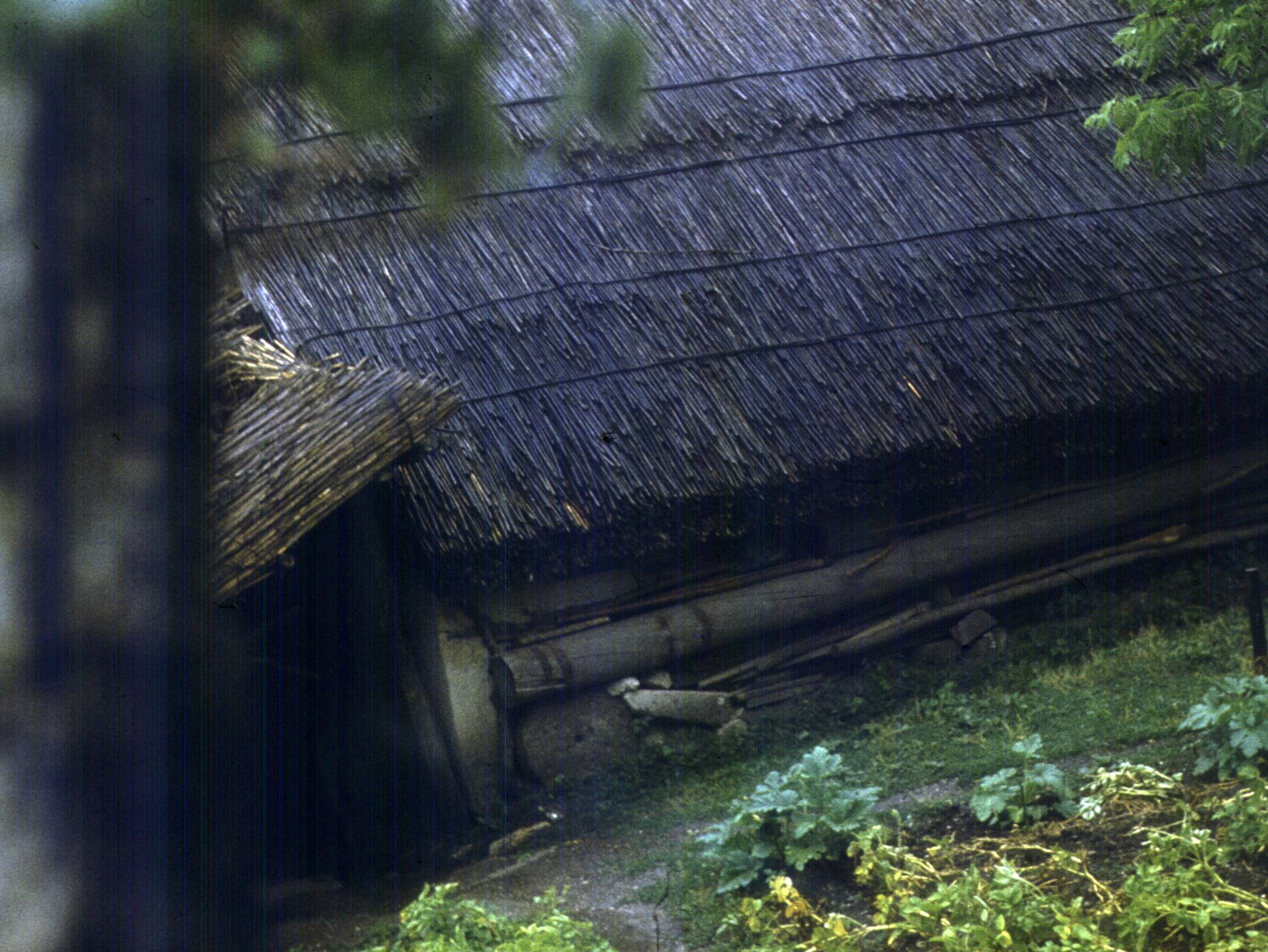 109.jpg