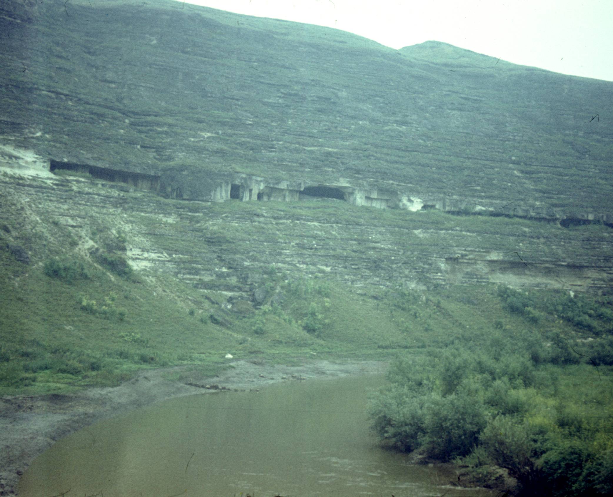 117.jpg