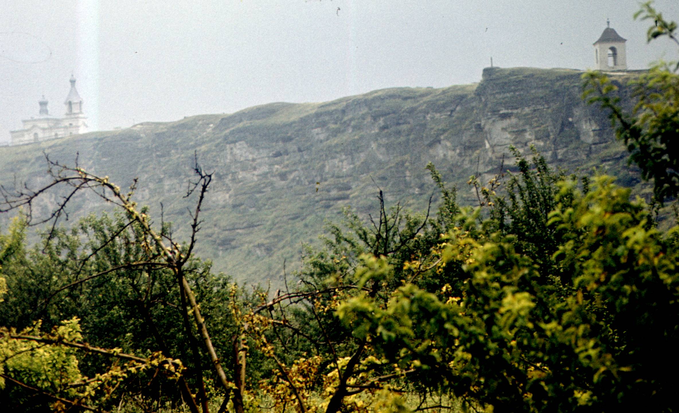118.jpg