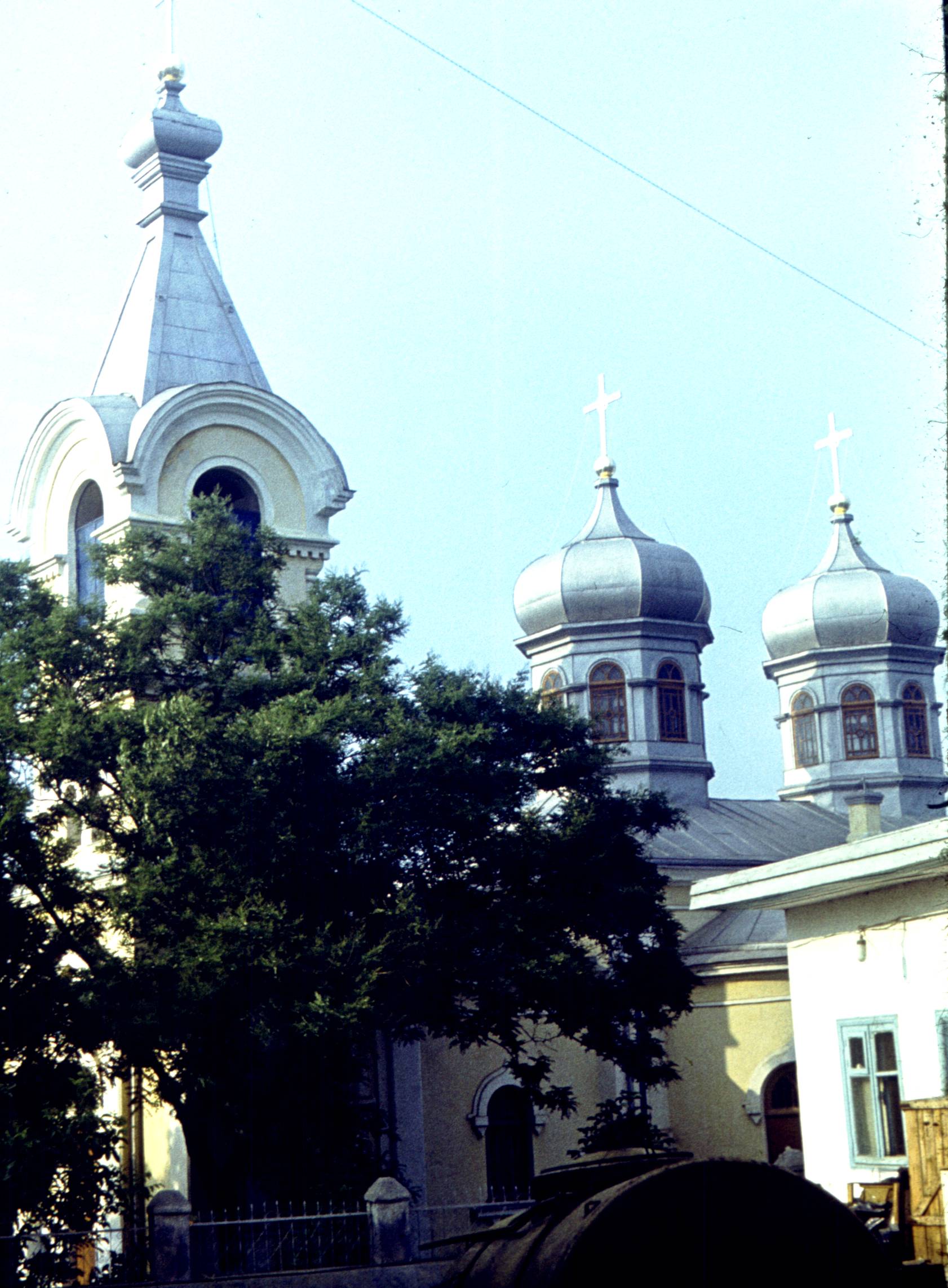 137.jpg