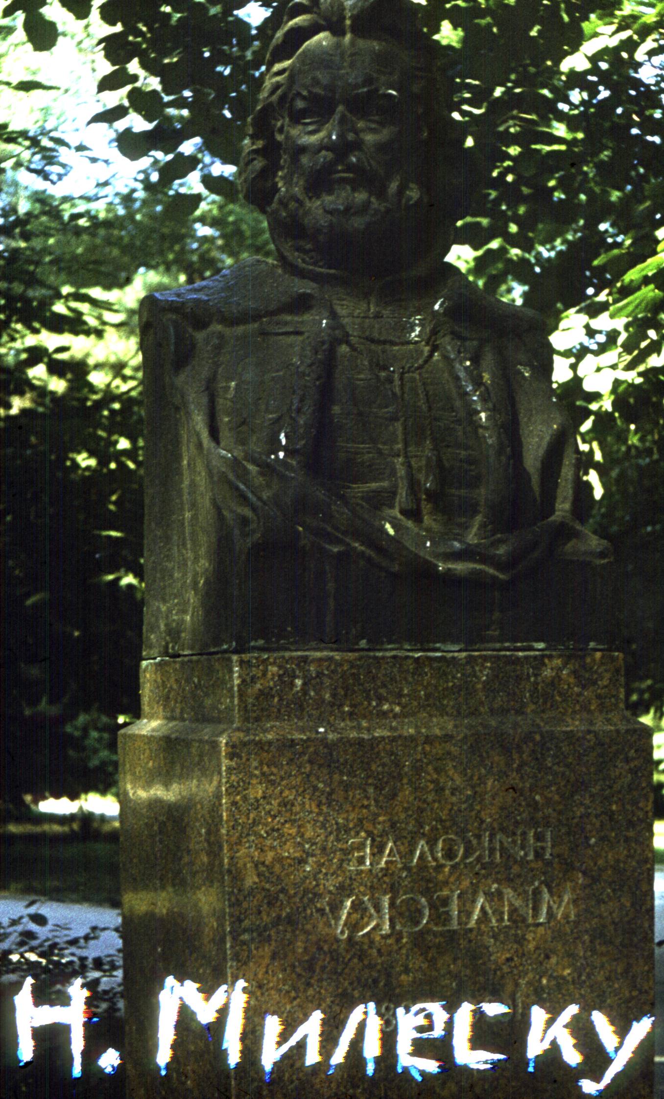164.jpg