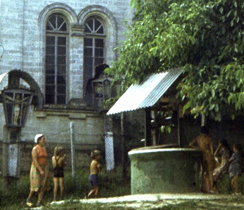 173-1.jpg