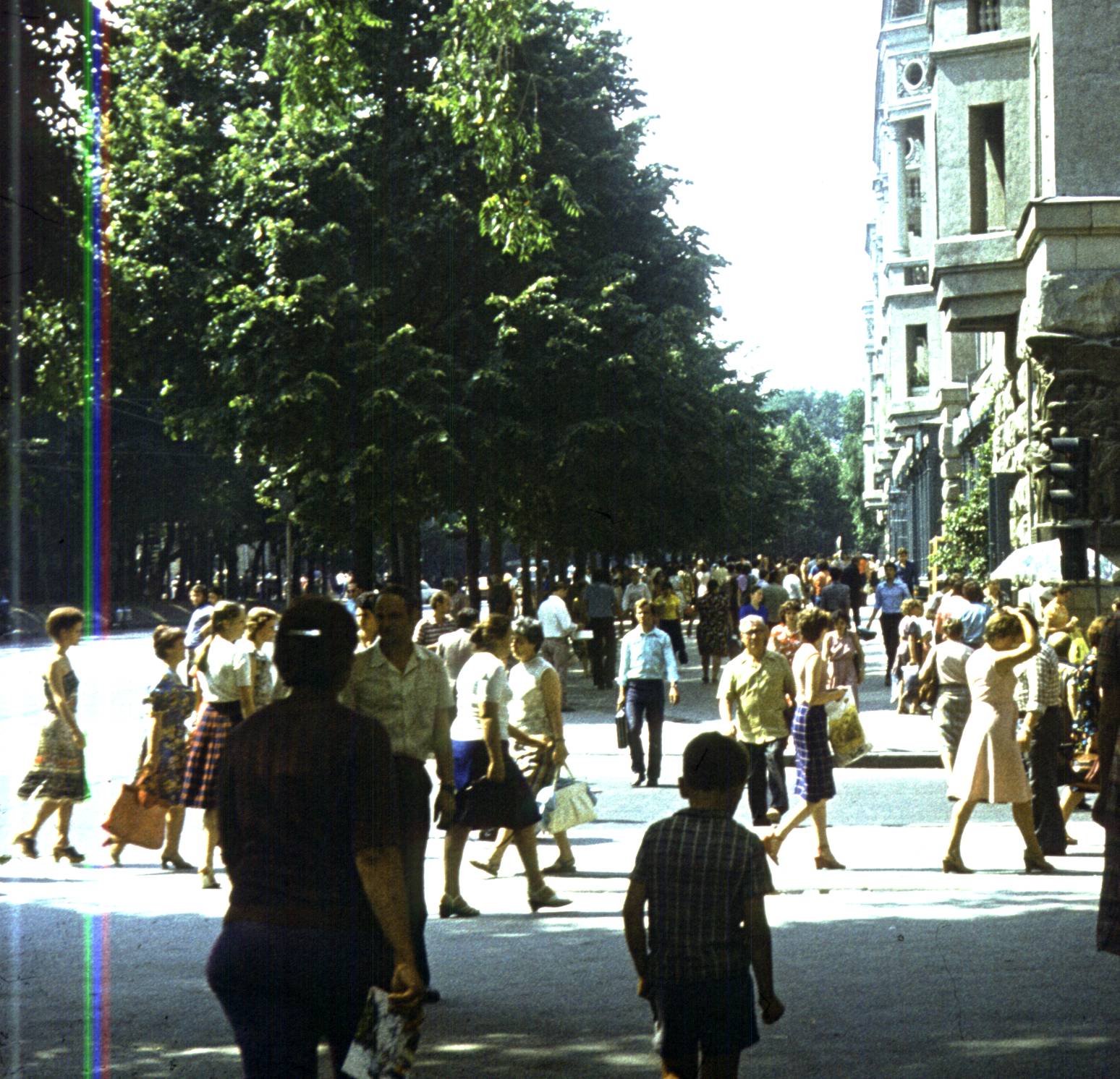 190.jpg
