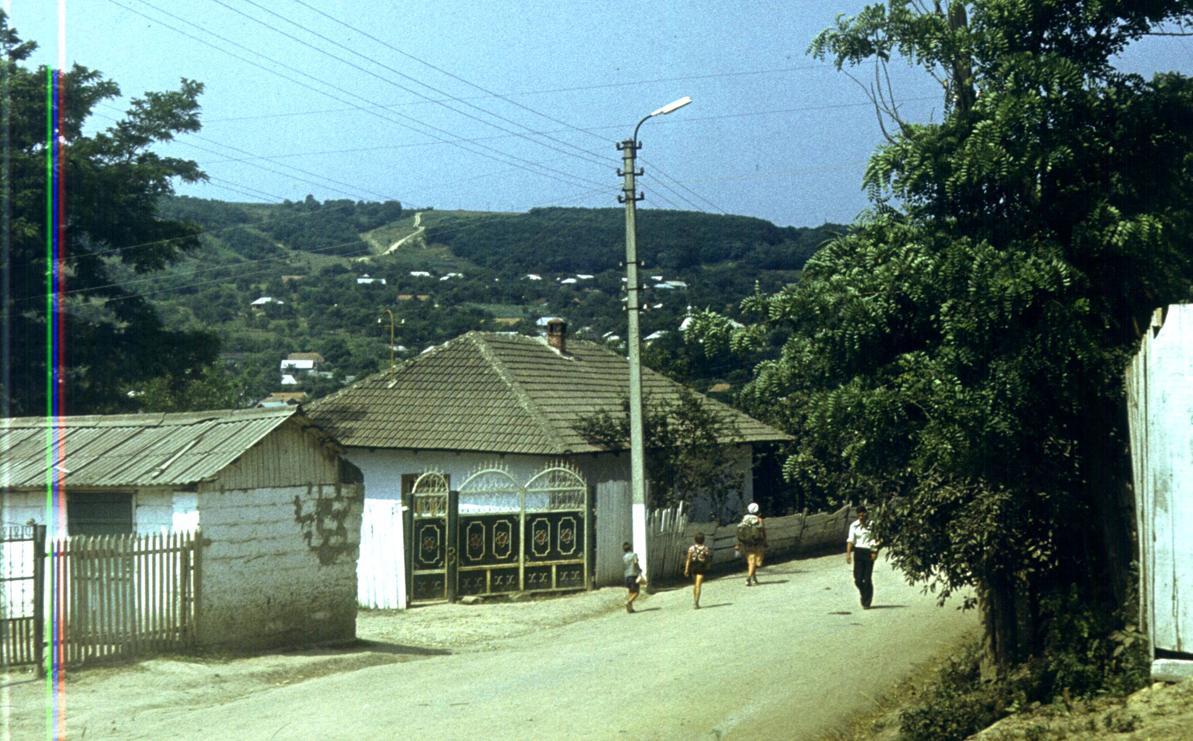 191.jpg