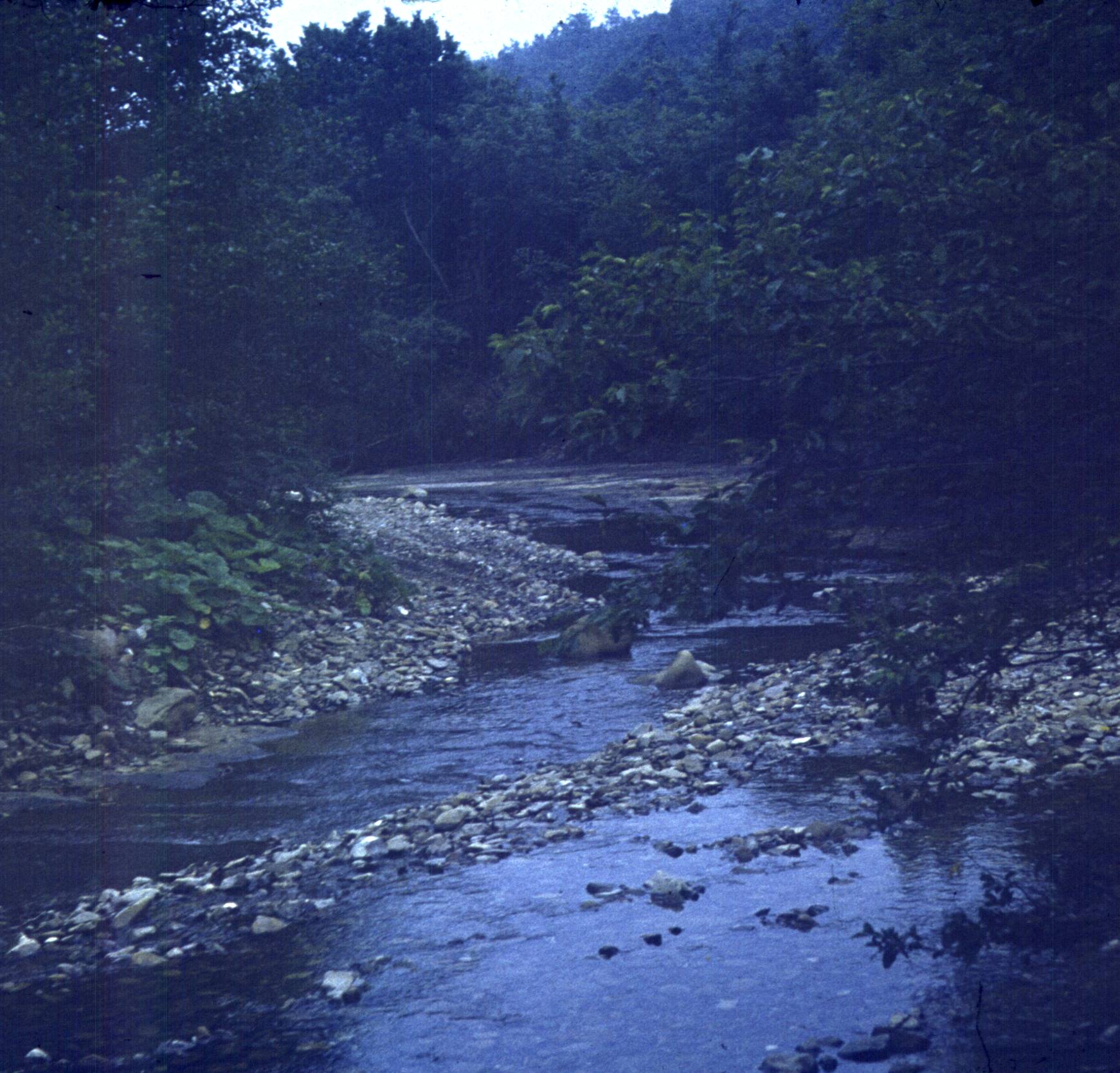 018-1.jpg