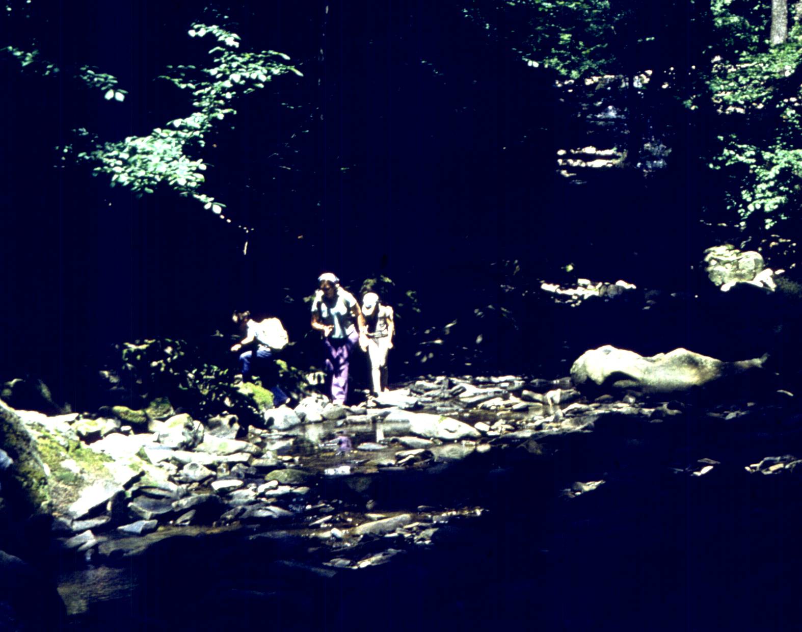 071.jpg