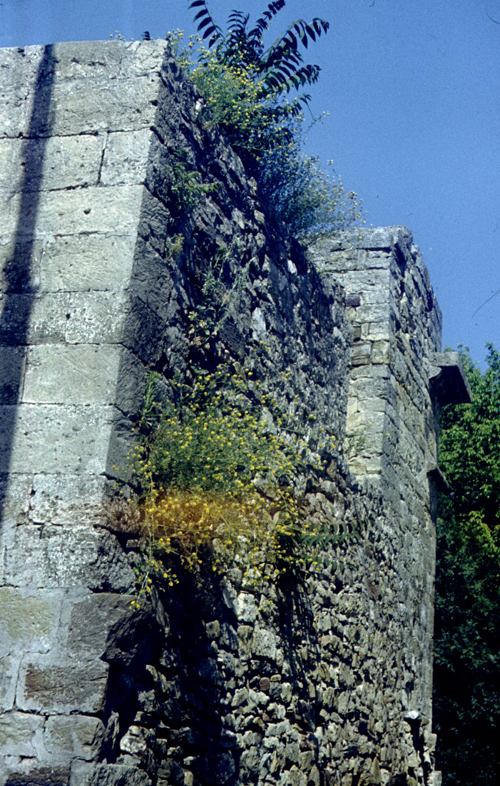 124.jpg