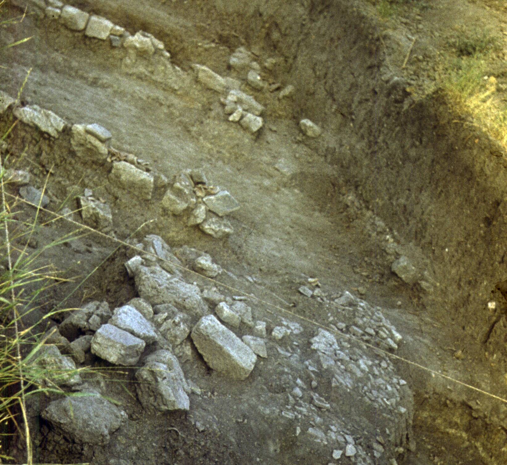 169.jpg