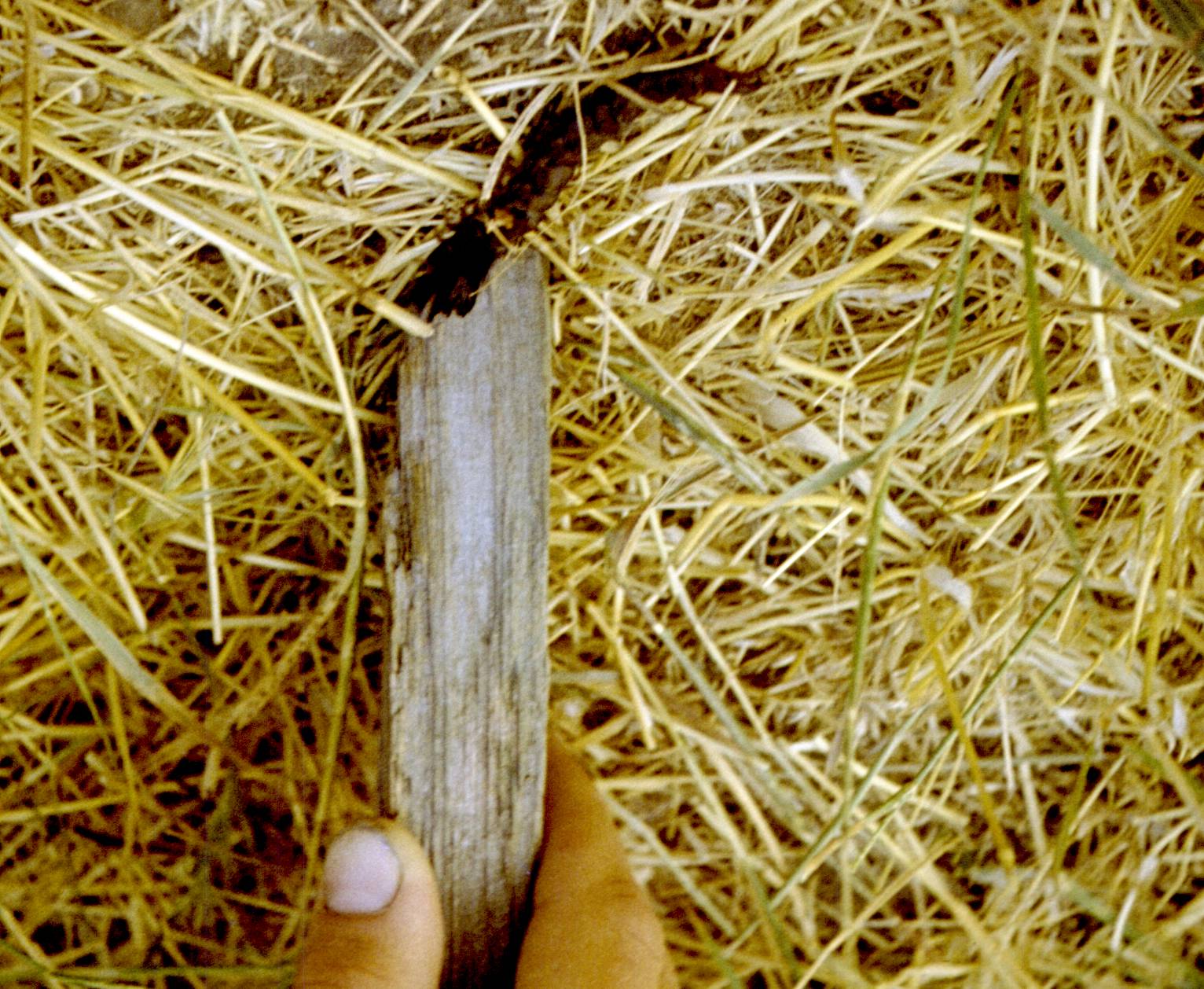 187.jpg