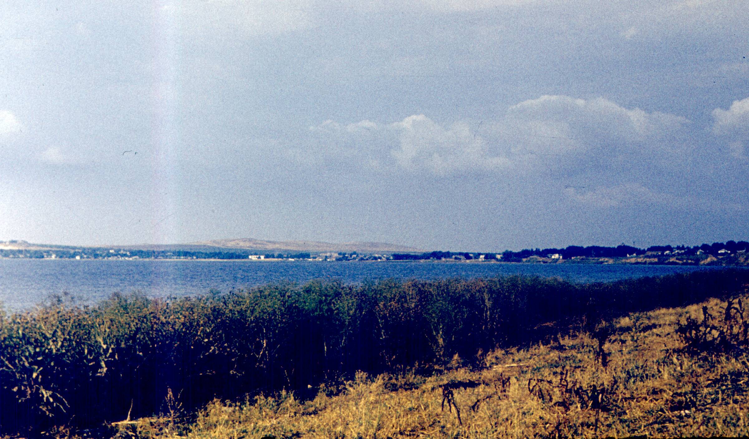 190.jpg