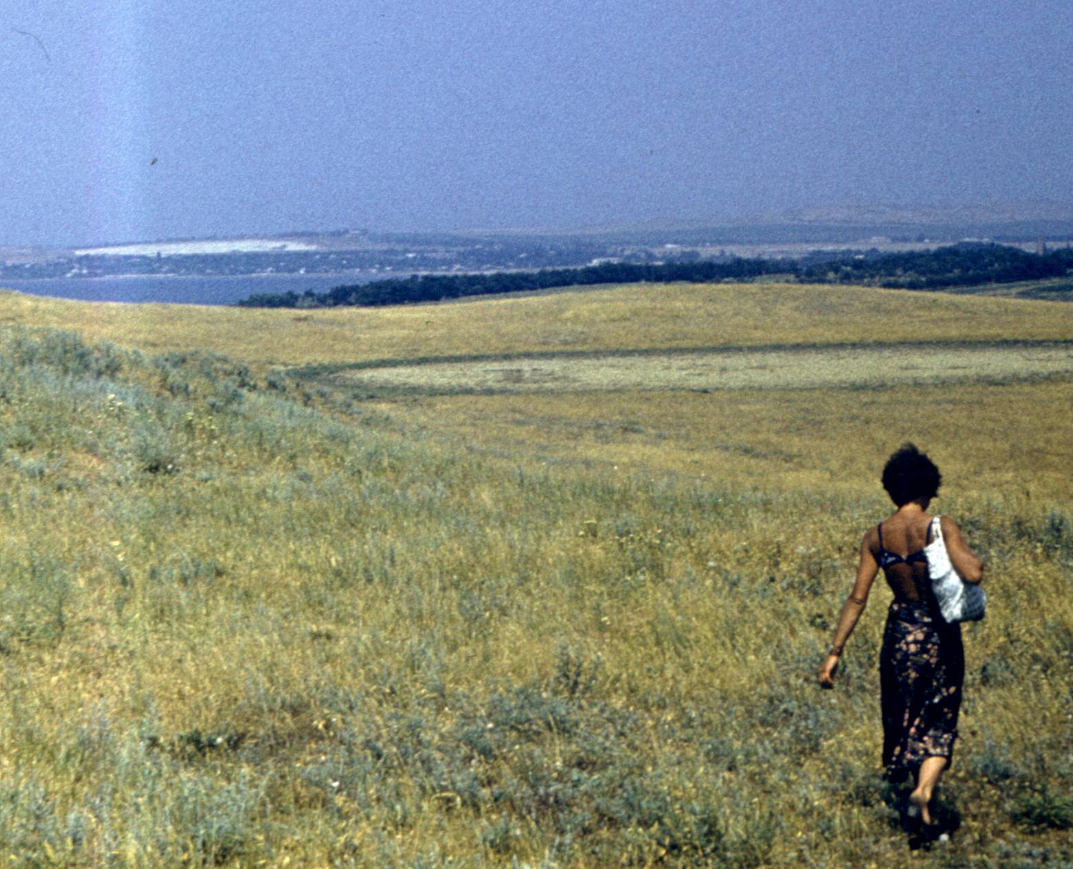 197.jpg