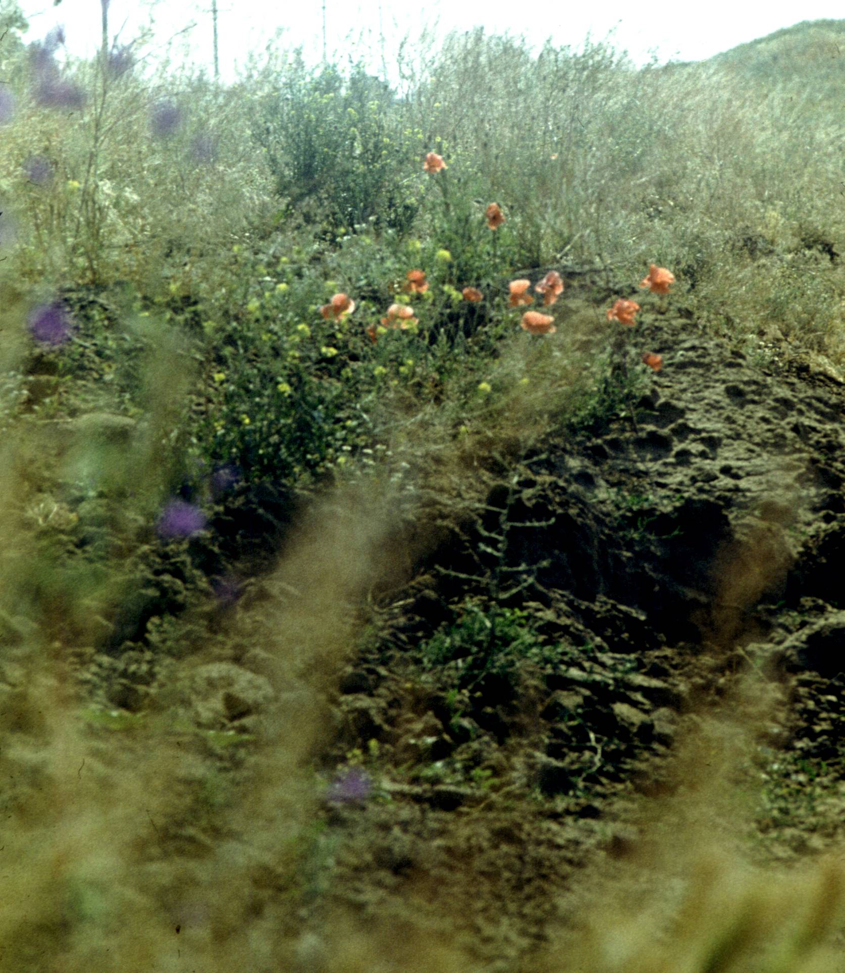 198.jpg