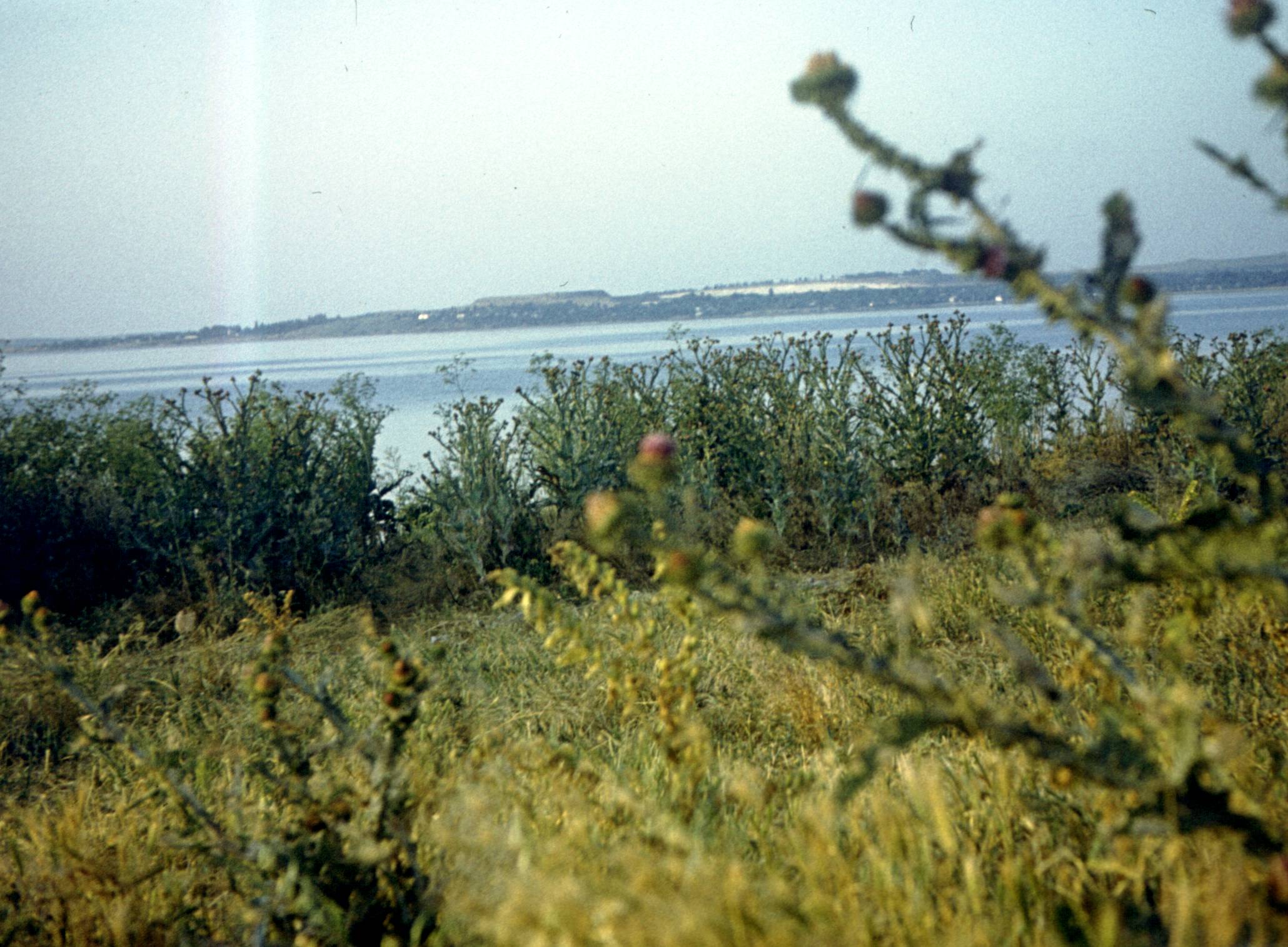 205.jpg