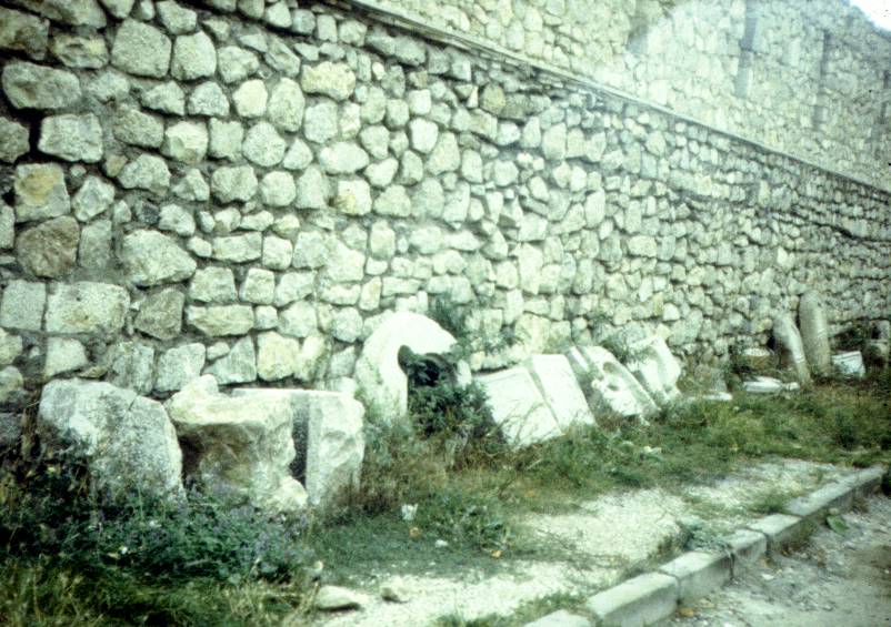 073.jpg