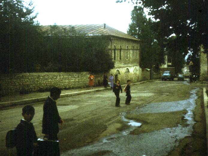 081.jpg