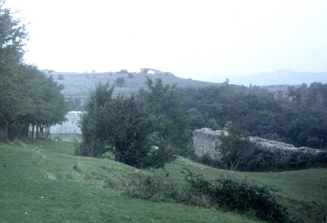 097.jpg