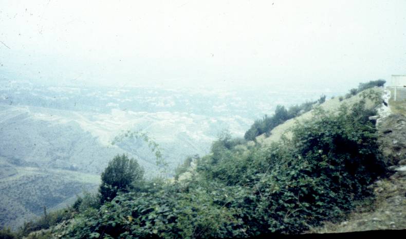 141.jpg