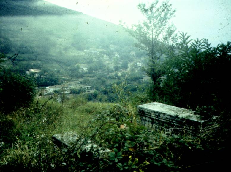 143.jpg
