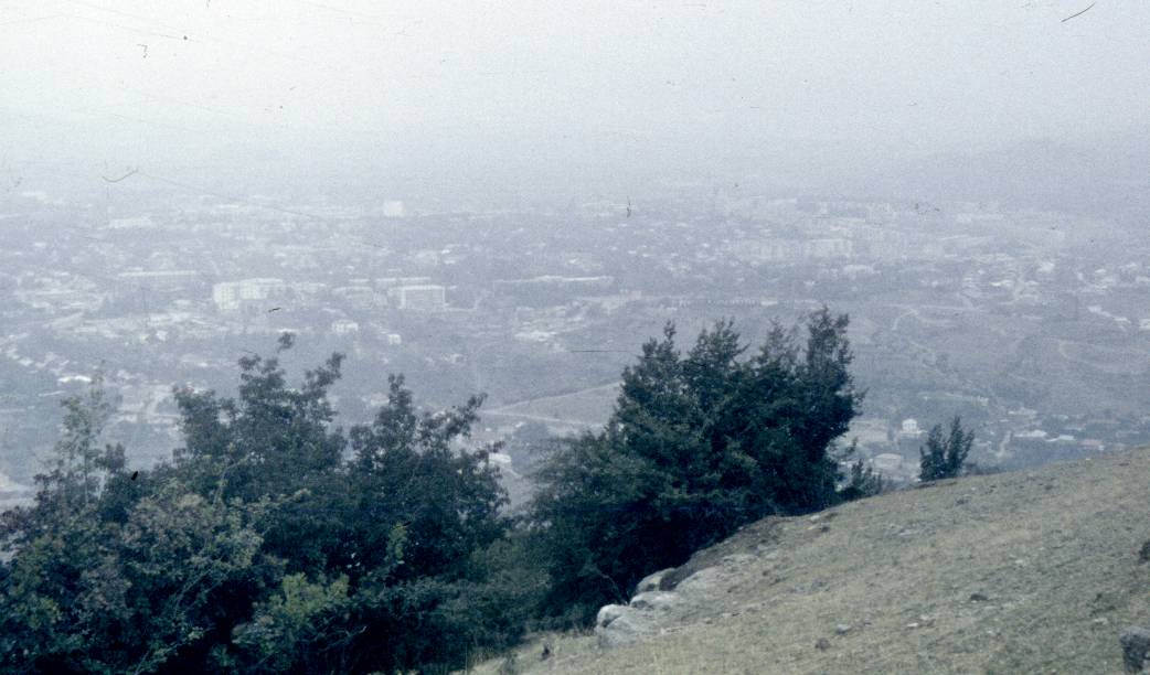 145.jpg