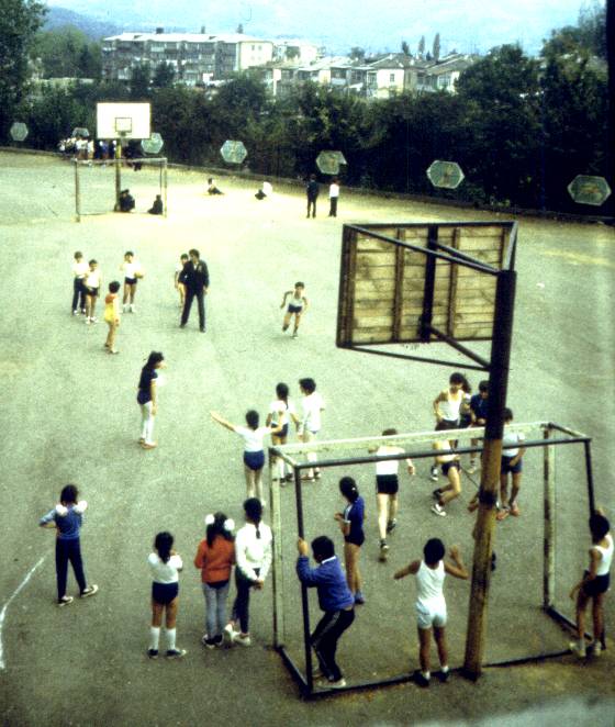 176.jpg