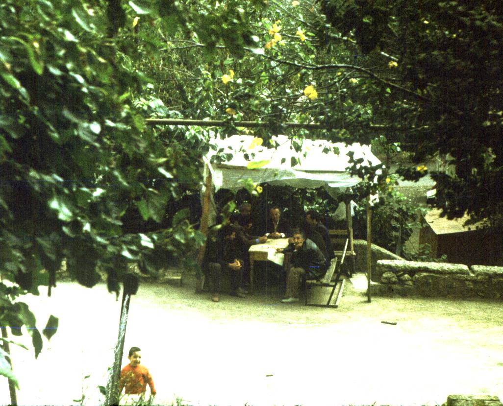 190.jpg