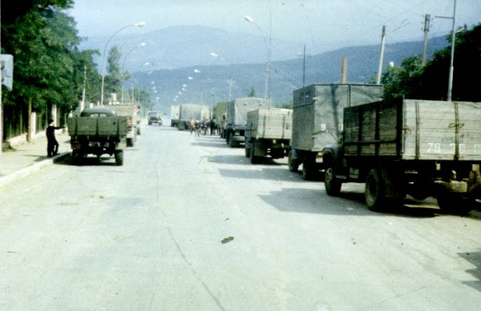 194.jpg