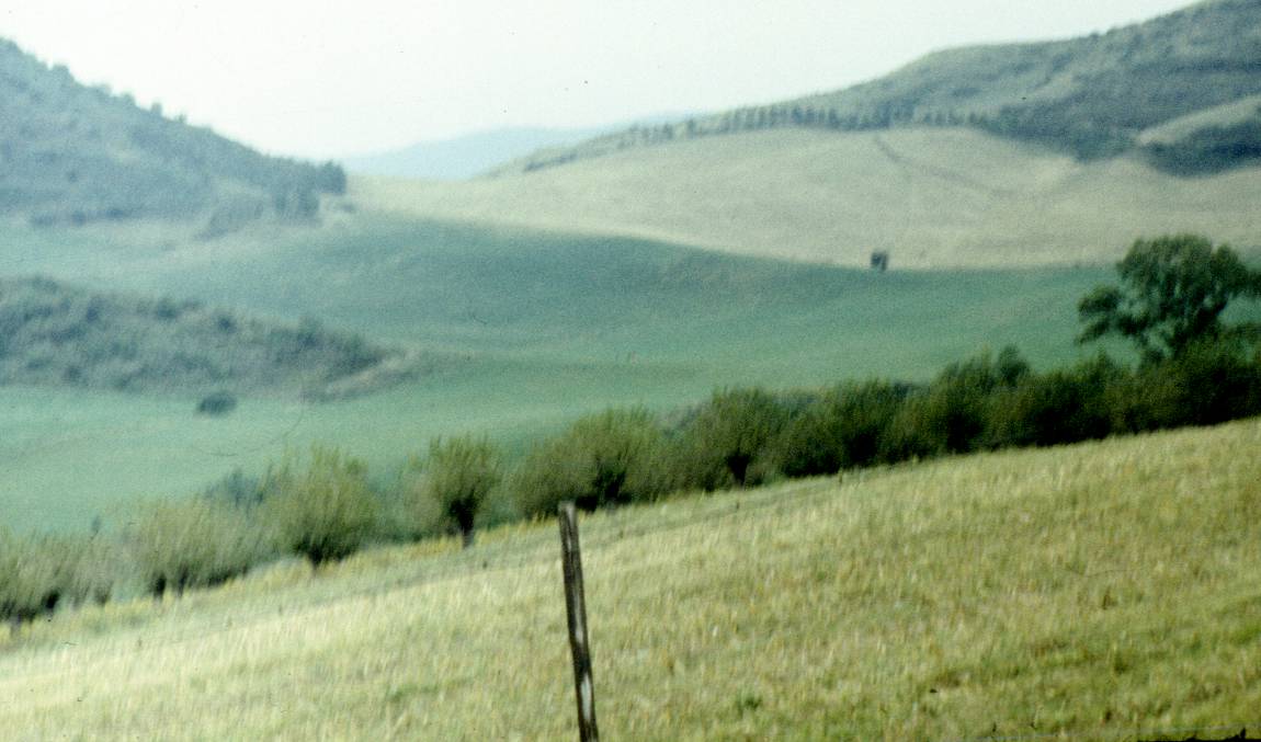 199.jpg