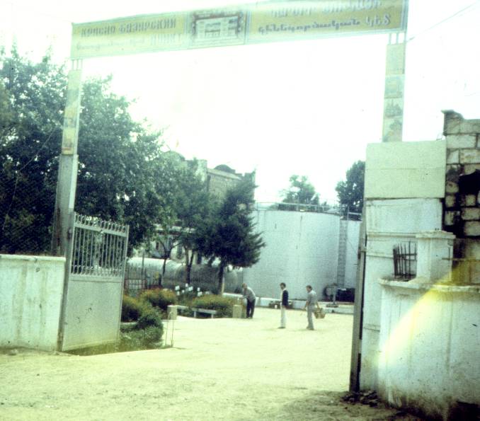 203.jpg