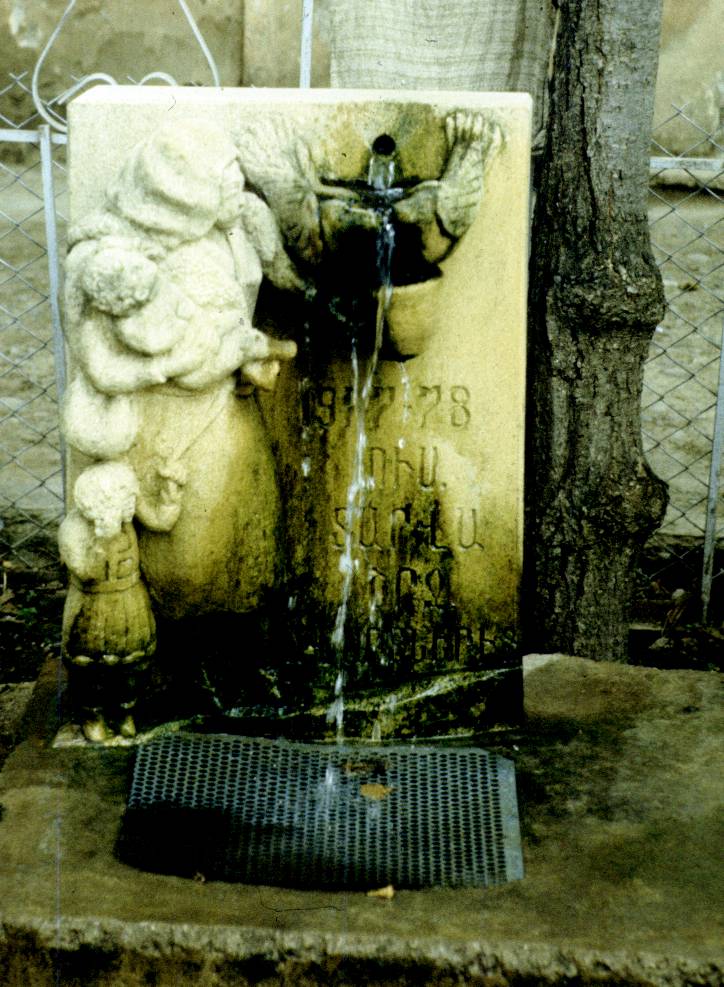 204.jpg