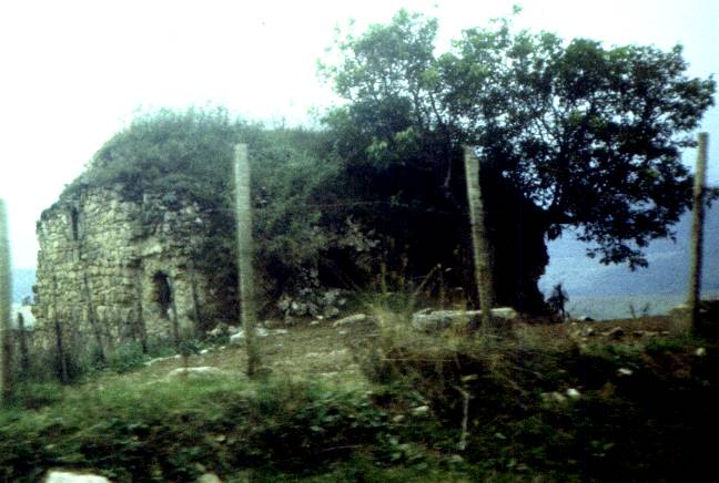 211-1.jpg