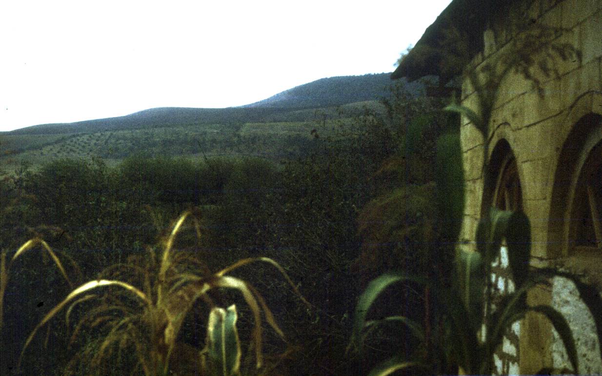 223.jpg