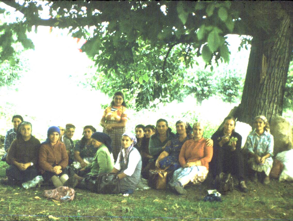 235.jpg