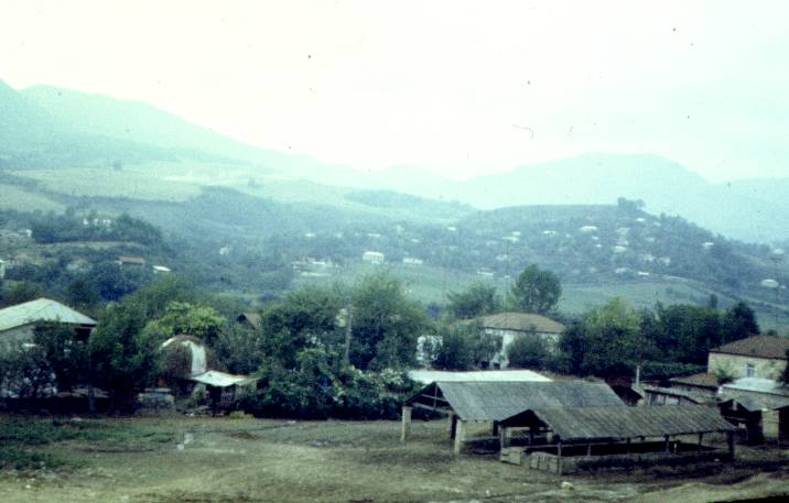 243.jpg